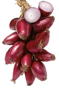 Italienische Produkte im Online Shop von CalabriaDoc aus Frick in der Schweiz